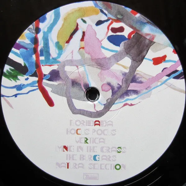 Animal Collective ~ Painting With