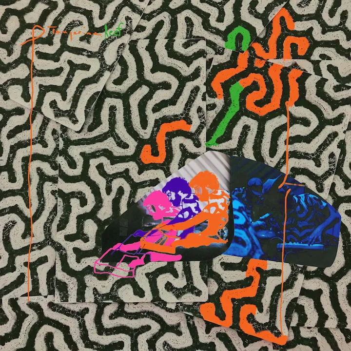 Animal Collective ~ Tangerine Reef