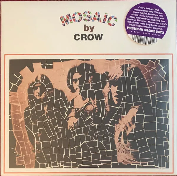 Crow  ~ Mosaic