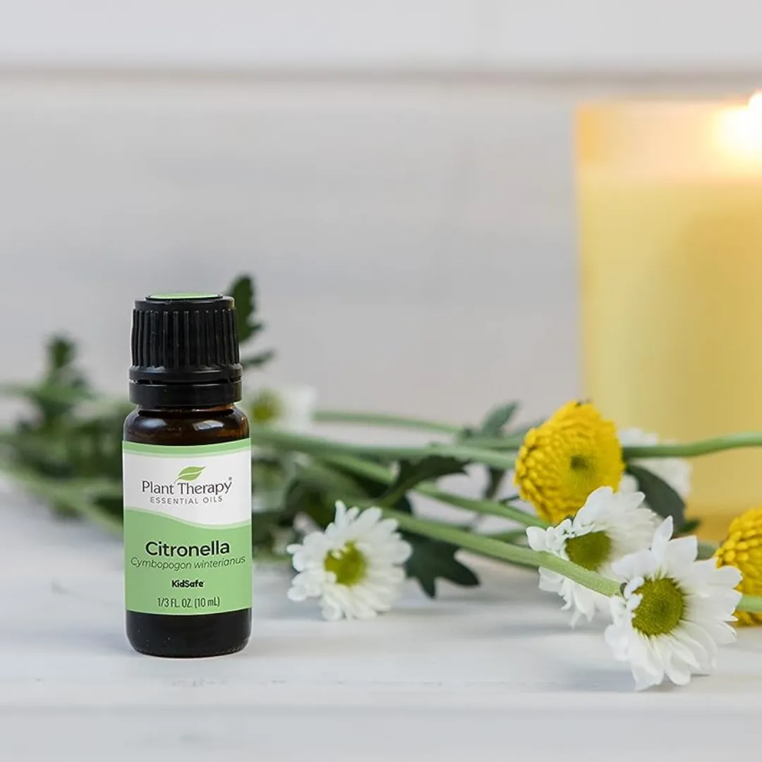 Plant Therapy Citronella Essential Oil