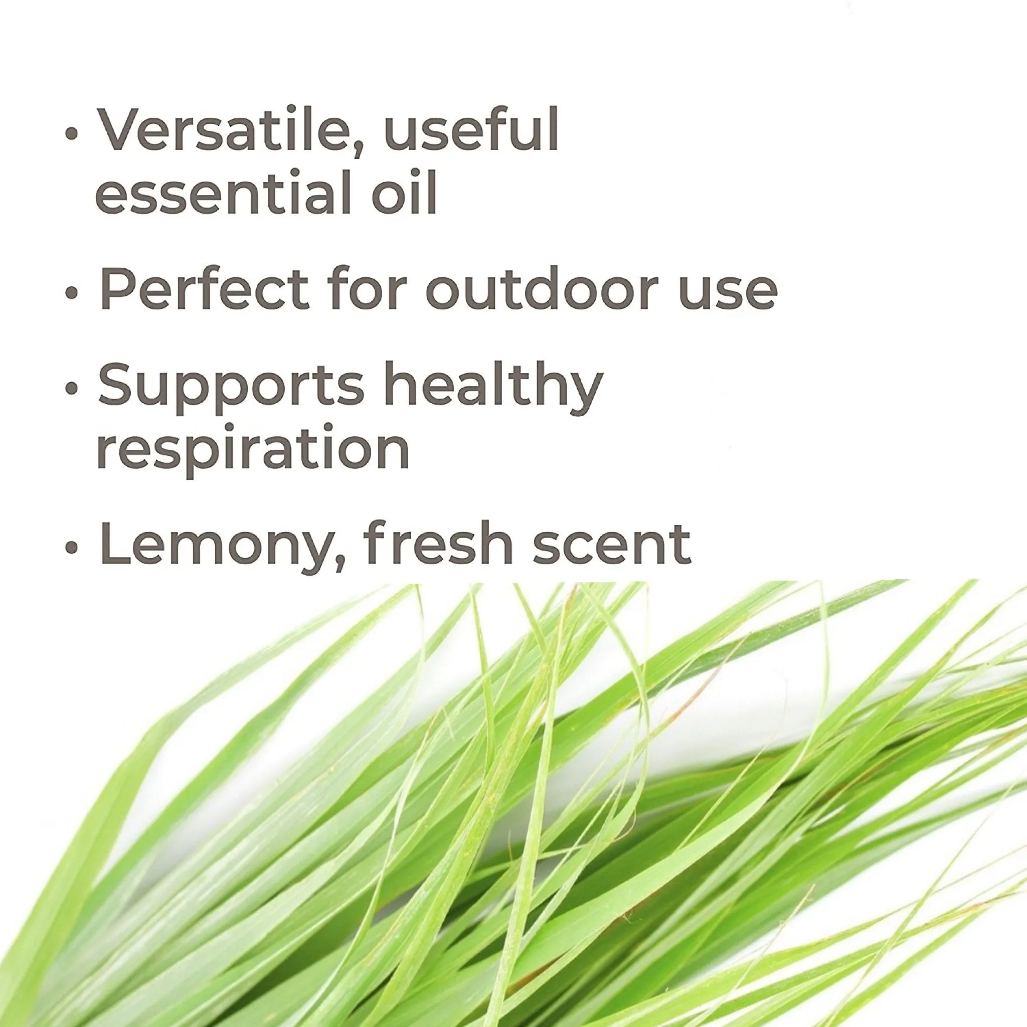 Plant Therapy Citronella Essential Oil