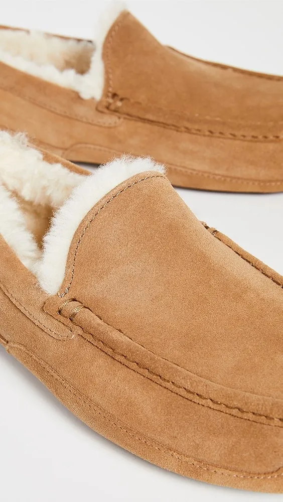 UGG   Ascot Slippers 